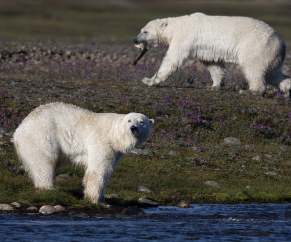 Out now: April Geographical Magazine