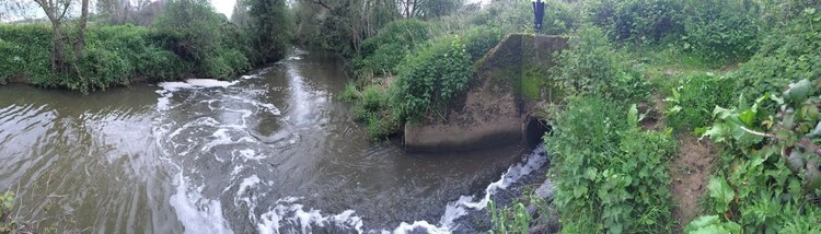 Sewage outflow