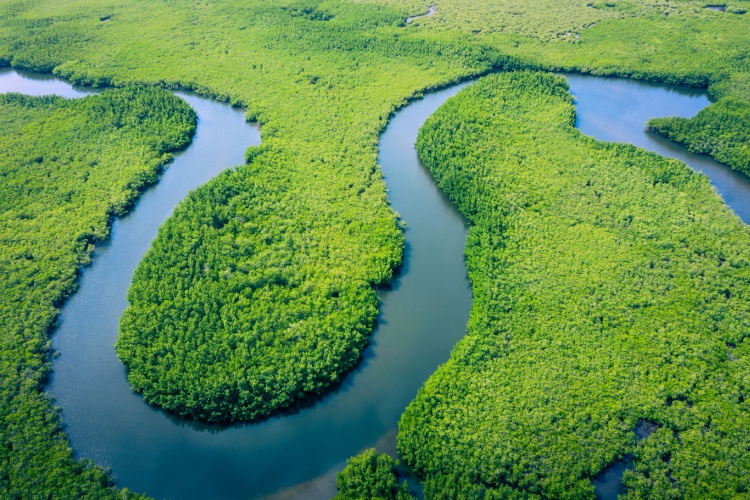 QUIZ: The Big River Challenge