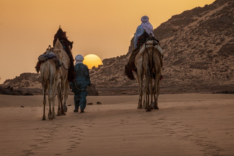 QUIZ: Country Spotlight – Algeria