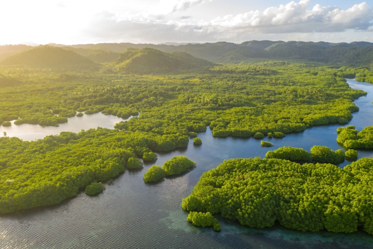QUIZ: Physical Geography Trivia