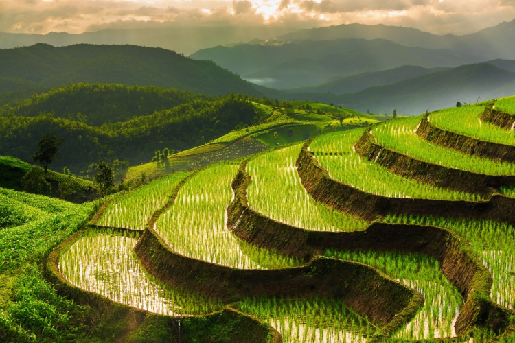QUIZ: Geography Trivia