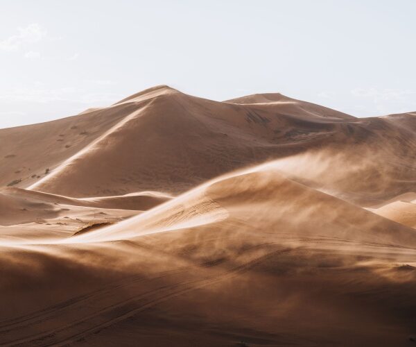 QUIZ: Deserts