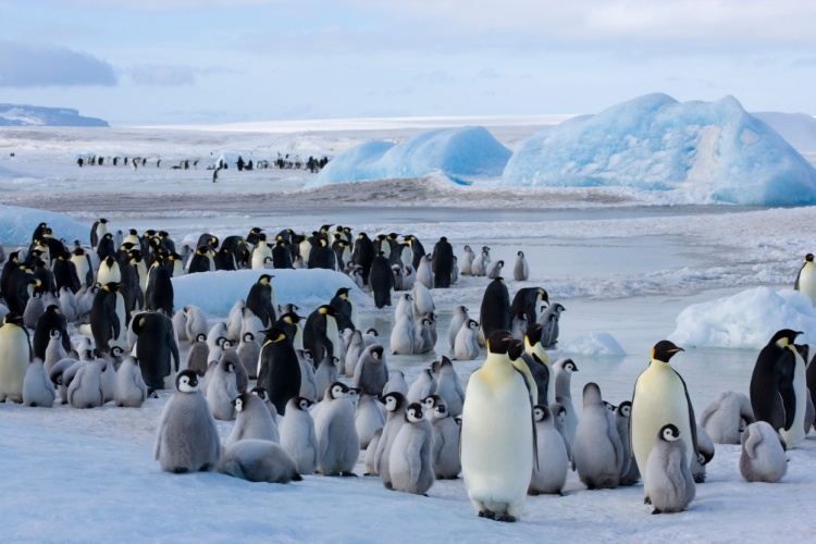 QUIZ: The Big Polar Challenge