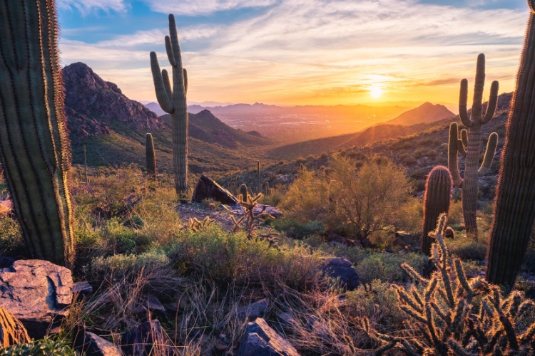QUIZ: Geography Trivia