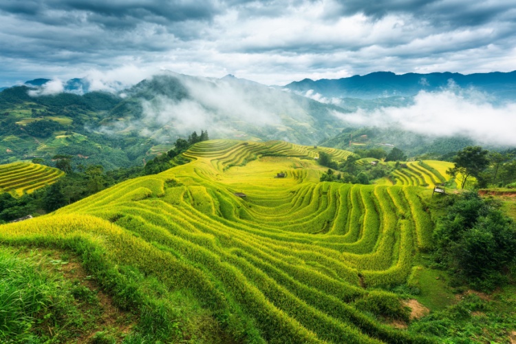 QUIZ: Physical Geography Trivia