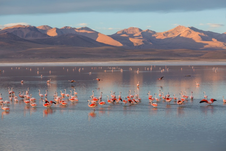 QUIZ: Physical Geography Trivia
