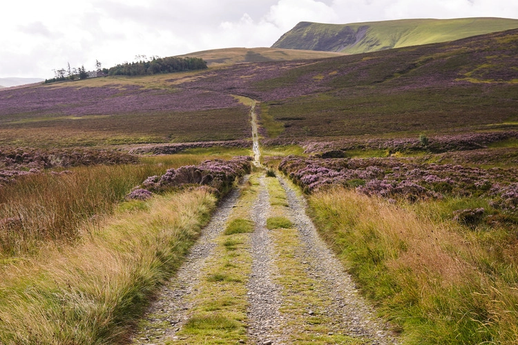 View of Skiddaw and path leading up to hill.