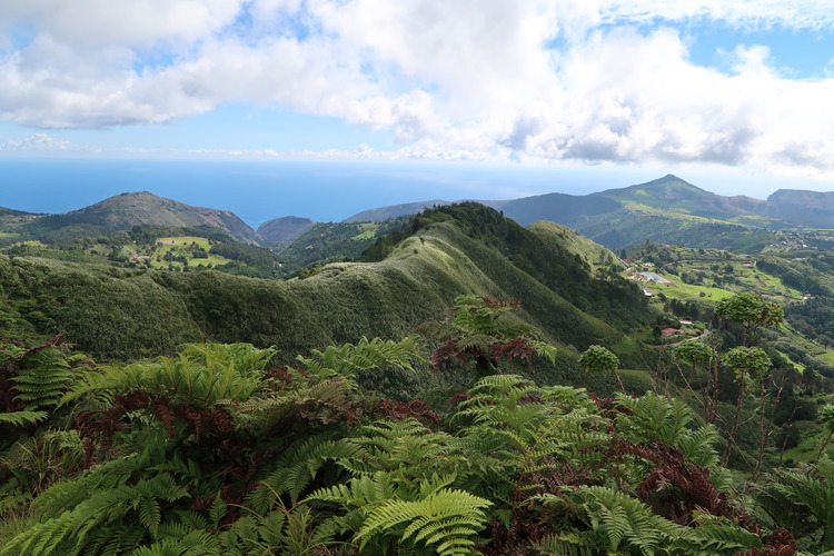 Diana's Peak St Helena Island