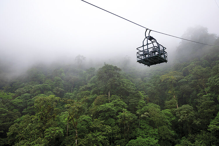 The Dragonfly cable gondola, which takes tourists through the cloud forest