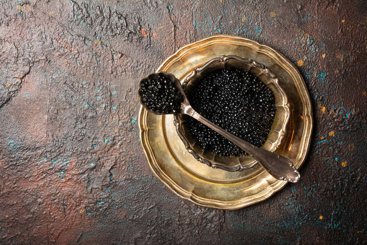 Europe’s illegal caviar trade