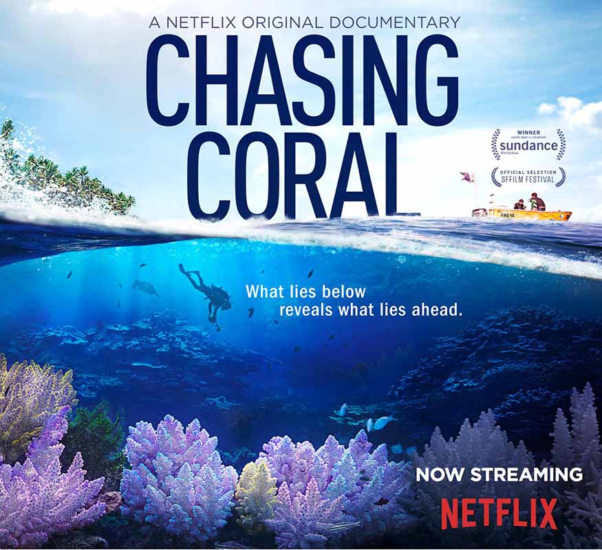 Chasing Coral poster