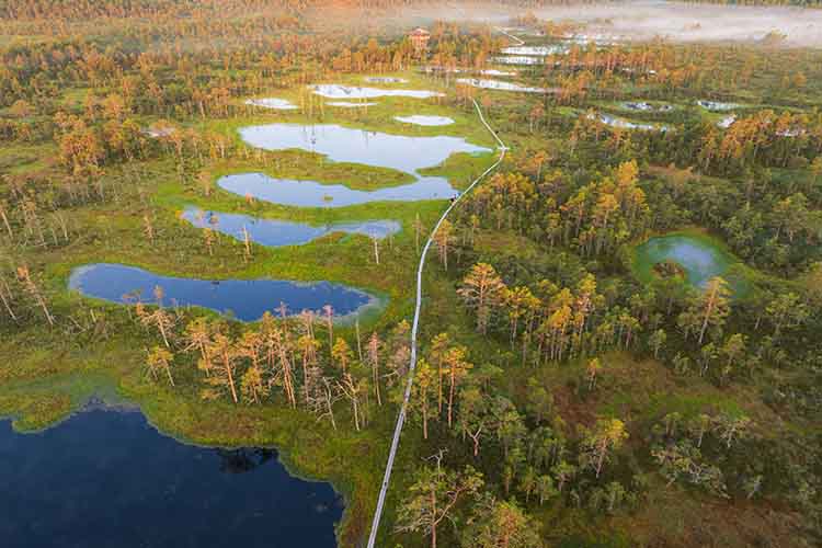 England’s largest private landscape restoration project announced