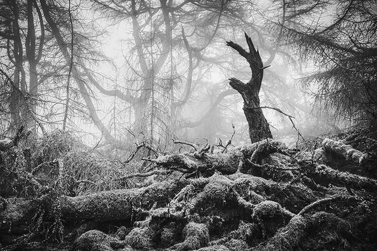 Great Mell Fell, Matthew Turner. Black & White, winner