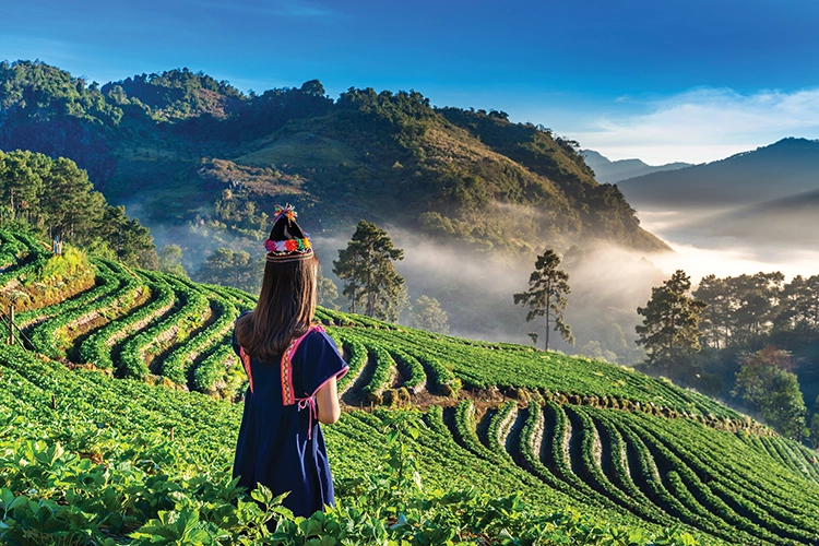 Discover the prize for Geographical’s Better World Awards