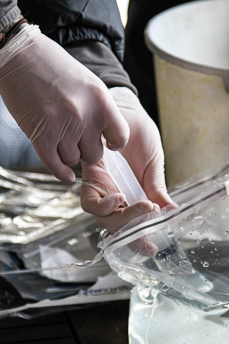 Water samples are filtered and sent to a state-of-the-art laboratory in the UK