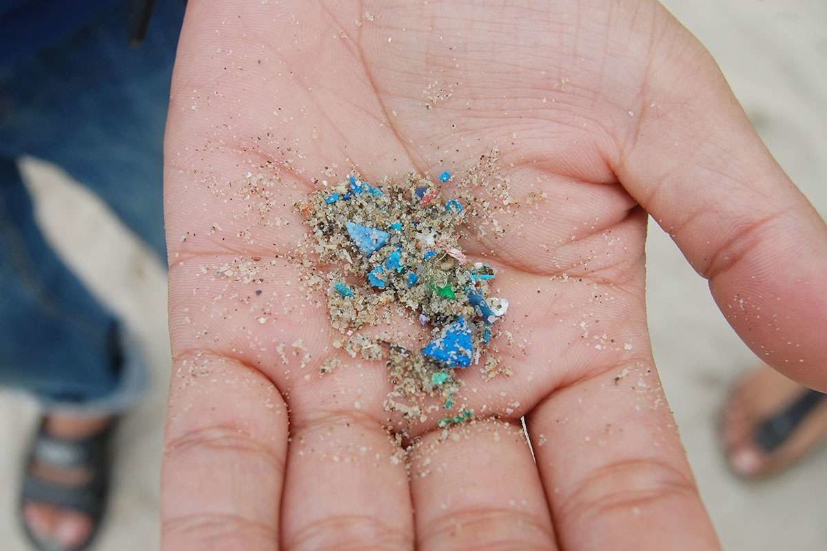 Microplastics may have a deadly effect on human immune cells