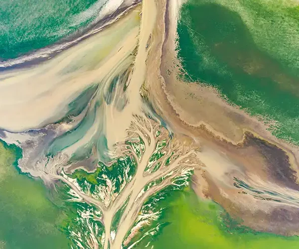 The first open-source atlas of the world’s ecosystems has launched