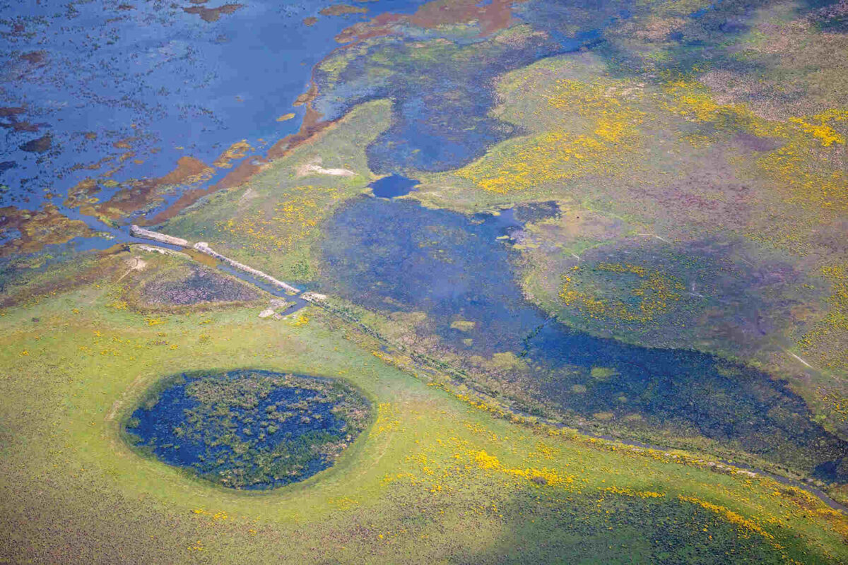 An aerial view of the wetlands