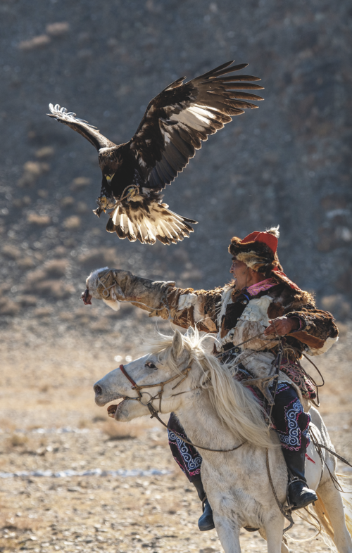An eagle hunter at the annual eagle festival in Ölgii