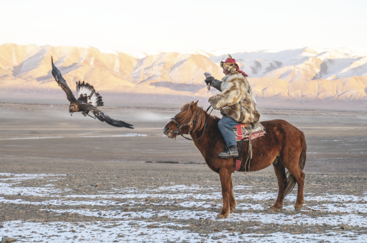 Aykerim’s 18-year-old brother
Arkalak trains a golden eagle