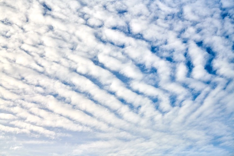 Beautiful blue sky with unusual white Altocumulus undulatus clouds