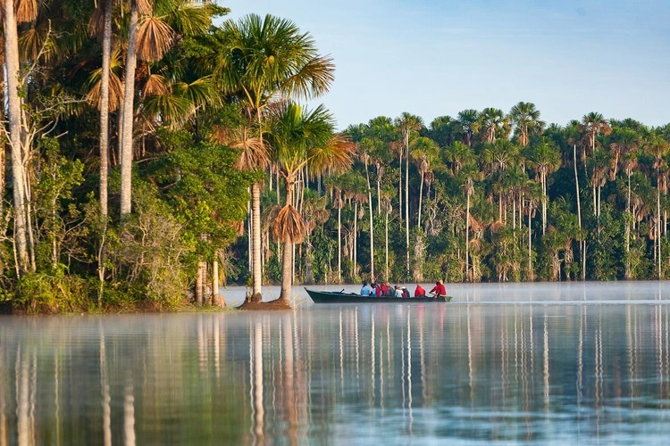 Sandoval Lake, also known as Lago Sandoval, is a pristine oxbow lake situated within the Tambopata National Reserve in the Amazon rainforest of southeastern Peru