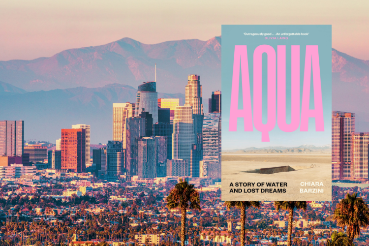 Review: Aqua by Chiara Barzini
