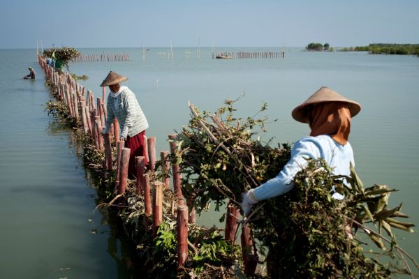 The front line of climate change adapting to survive