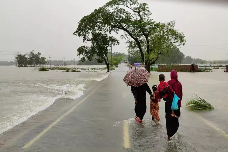 Sylhet, Bangladesh - 30 May 2024: Climate change and water coming down from the mountains have flooded the lowlands of Sylhet.