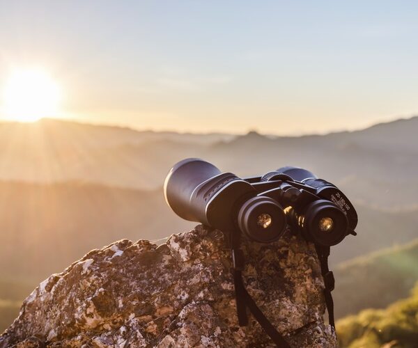 Choosing the perfect binoculars