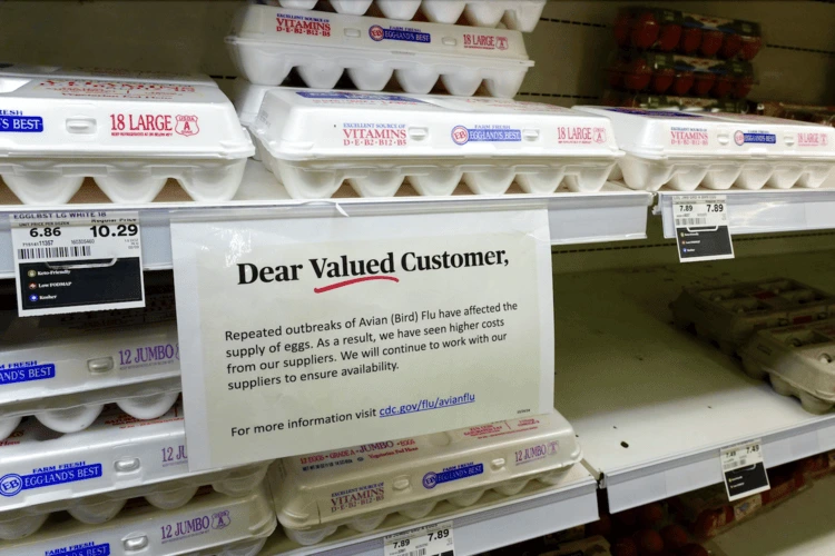 Egg prices in the USA rocketed after millions of birds were culled