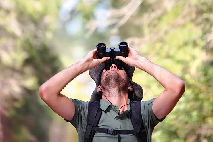 man using binoculars looking up watching for birds