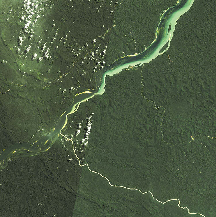 Sediment from gold mining is transported hundreds of kilometres along Brazil’s Tapajós River
