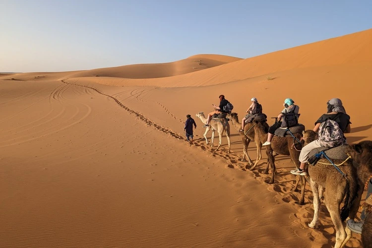 Sahara desert with camels.