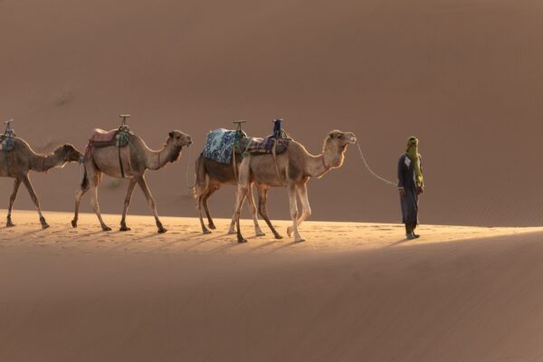 Geo Explainer: The Sahara Desert - Geographical