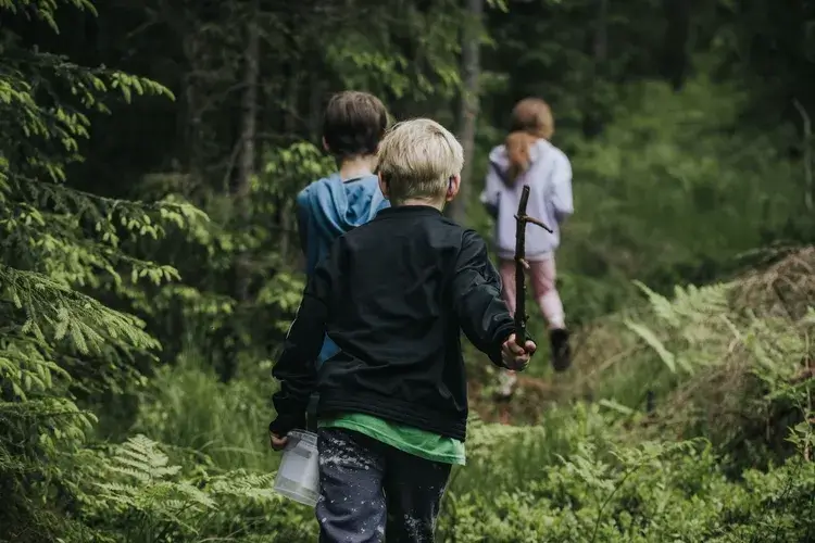 Three children explore a lush forest trail, each holding a clear plastic jar, searching through the underbrush on a nature adventure.