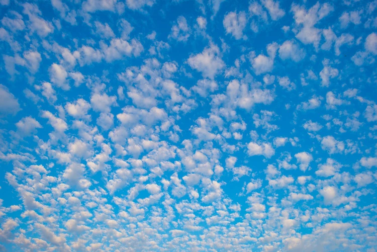 Cirrocumulus clouds in a blue sky in bright sunlight at sunrise in summer, Almere, Flevoland, The Netherlands, August 12, 2021