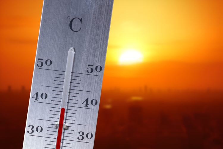 Study finds link between climate change and heat-related heart disease 