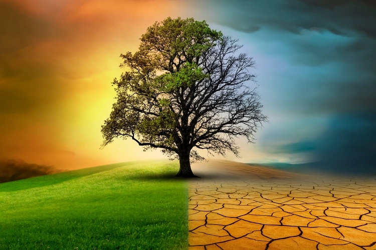 Climate change graphic with tree 