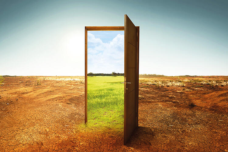 concept art of a wooden door in a barren field opening up to a lush green landscape