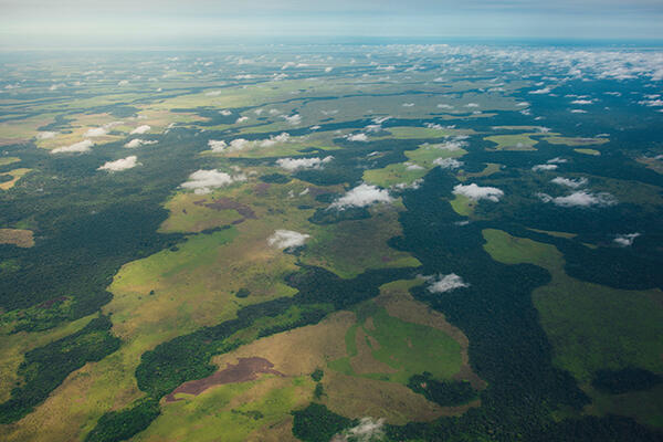 Pledges alone won’t protect the Congo rainforest’s peatlands