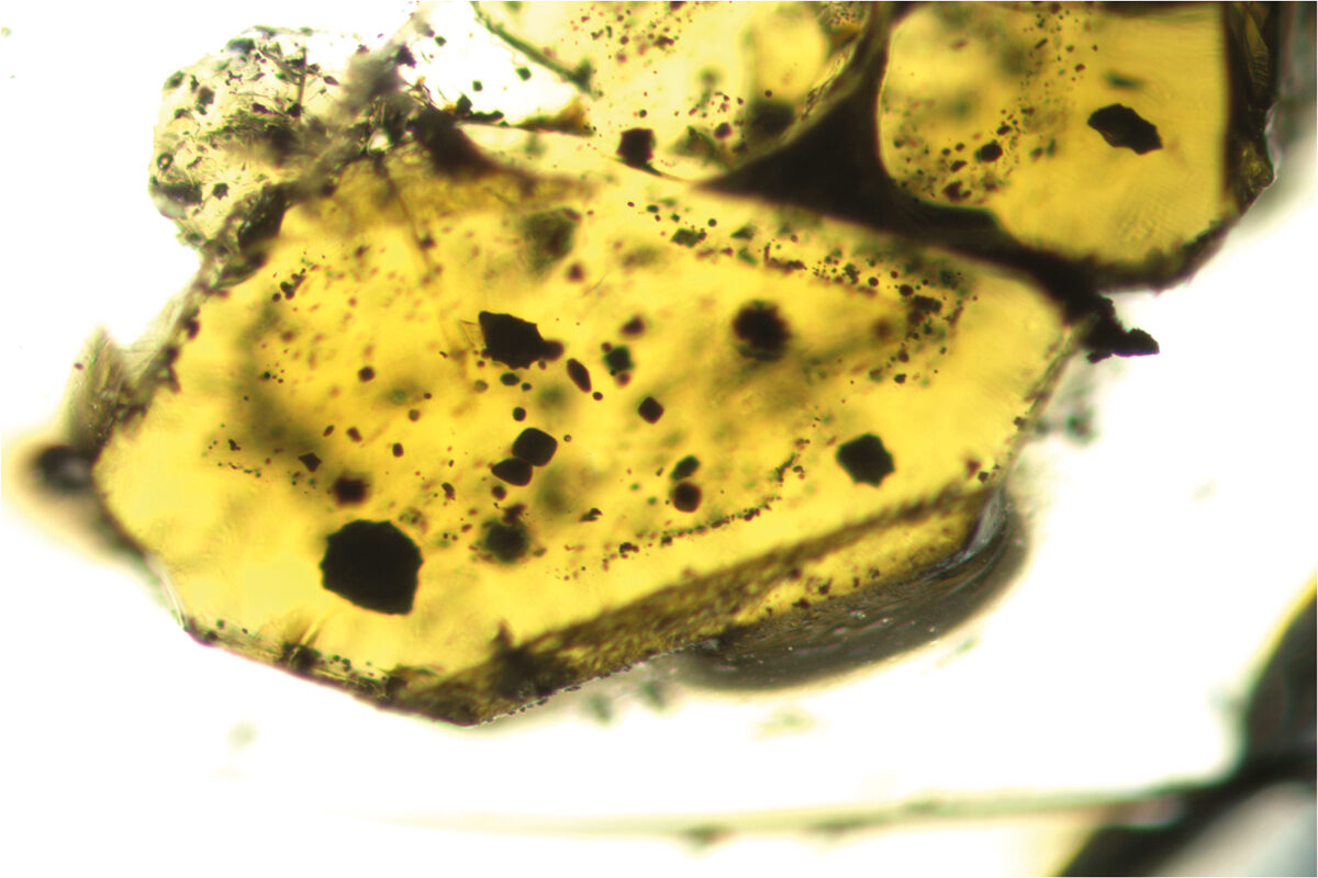 Inclusions trapped in cooled lava reveal depth of magma chamber