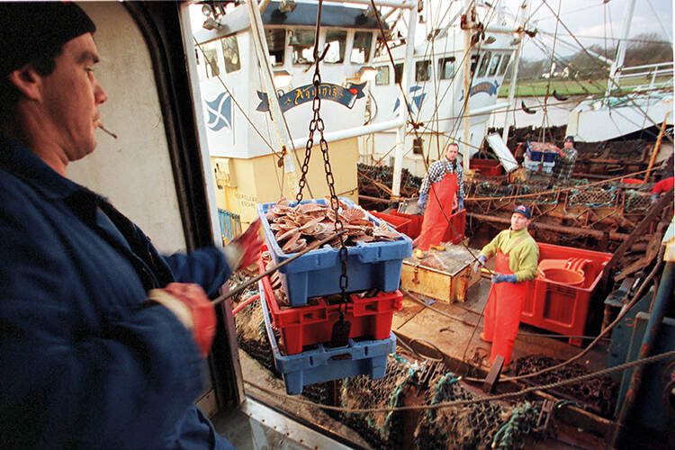 Bottom trawling by scallop fishers has caused extensive damage to the islands’ marine environment