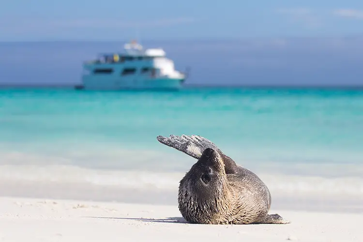 A wildlife-watching paradise