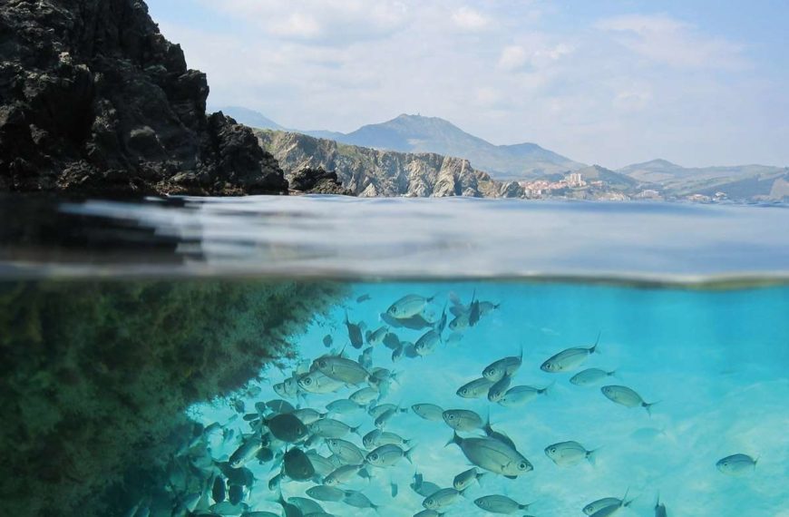 How to perfect underwater photography
