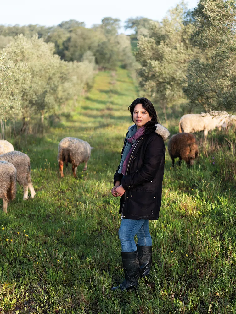 Eva Barrocas with sheep in her olive grove on her traditionally farmed land