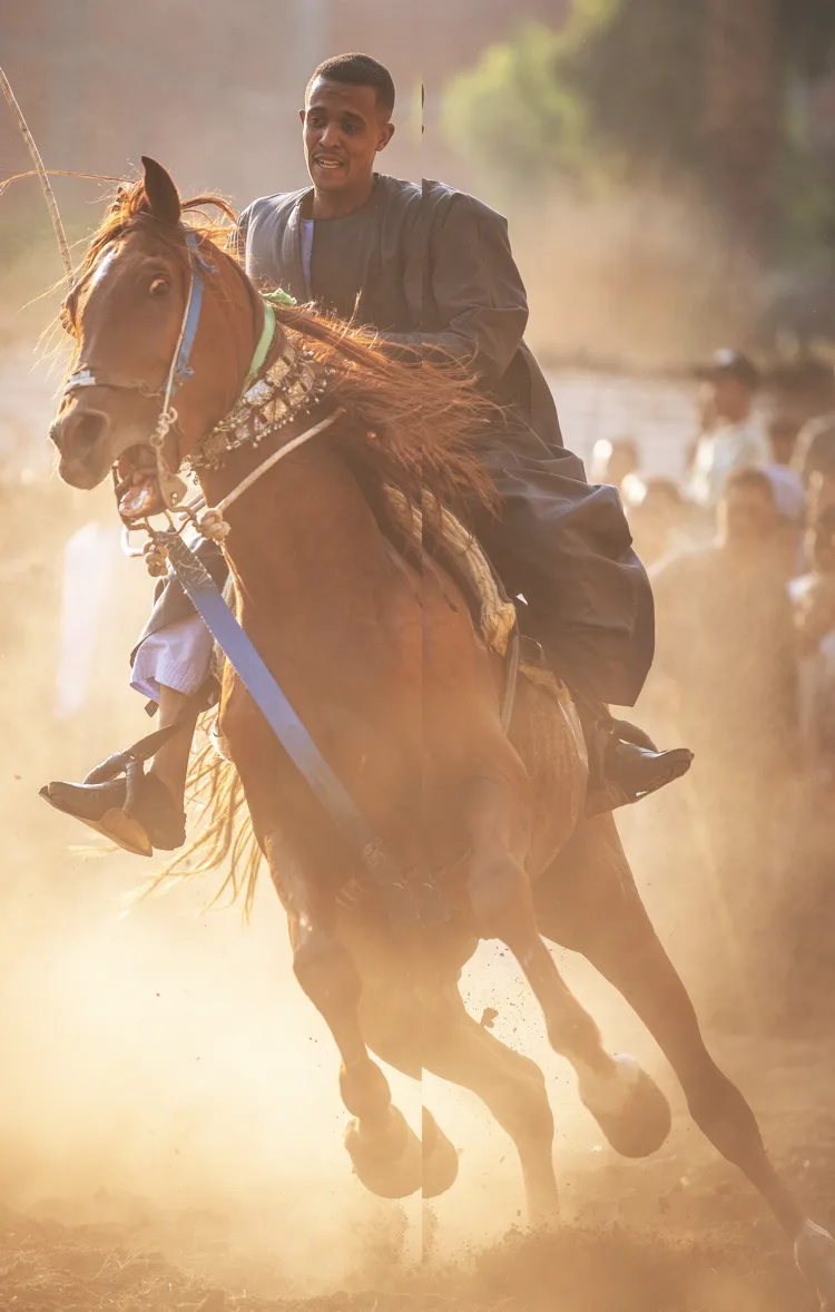 A rider and horse charge through the dust at the Mermah