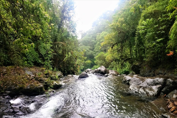 The Darién Gap is a break across the North and South American continents within Central America, consisting of a large watershed, forest and mountains.