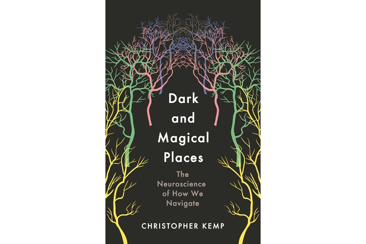 The book cover of Dark and Magical Places